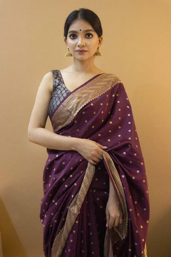 Purple_Embellished_Banarasi_Jacquard_Saree_(Purple)